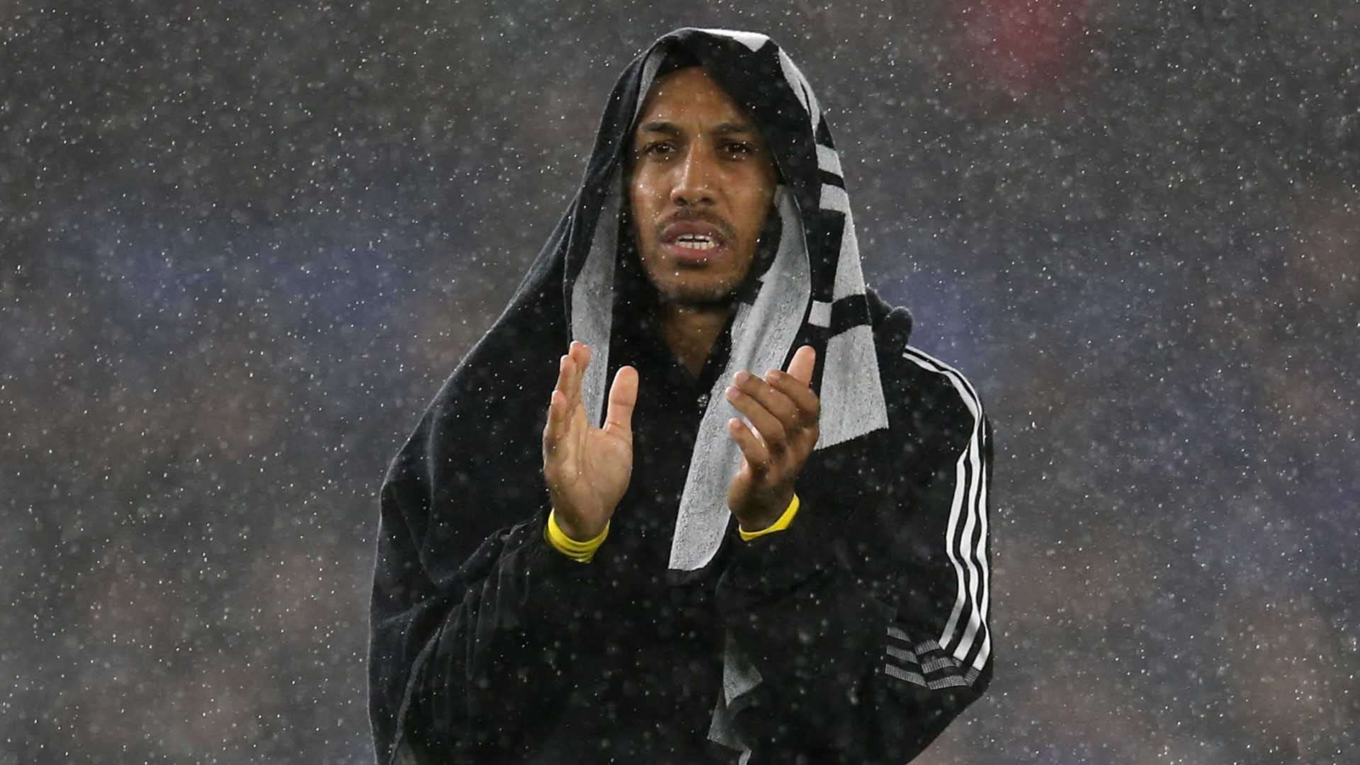 外援雷納迪 外援雷納迪