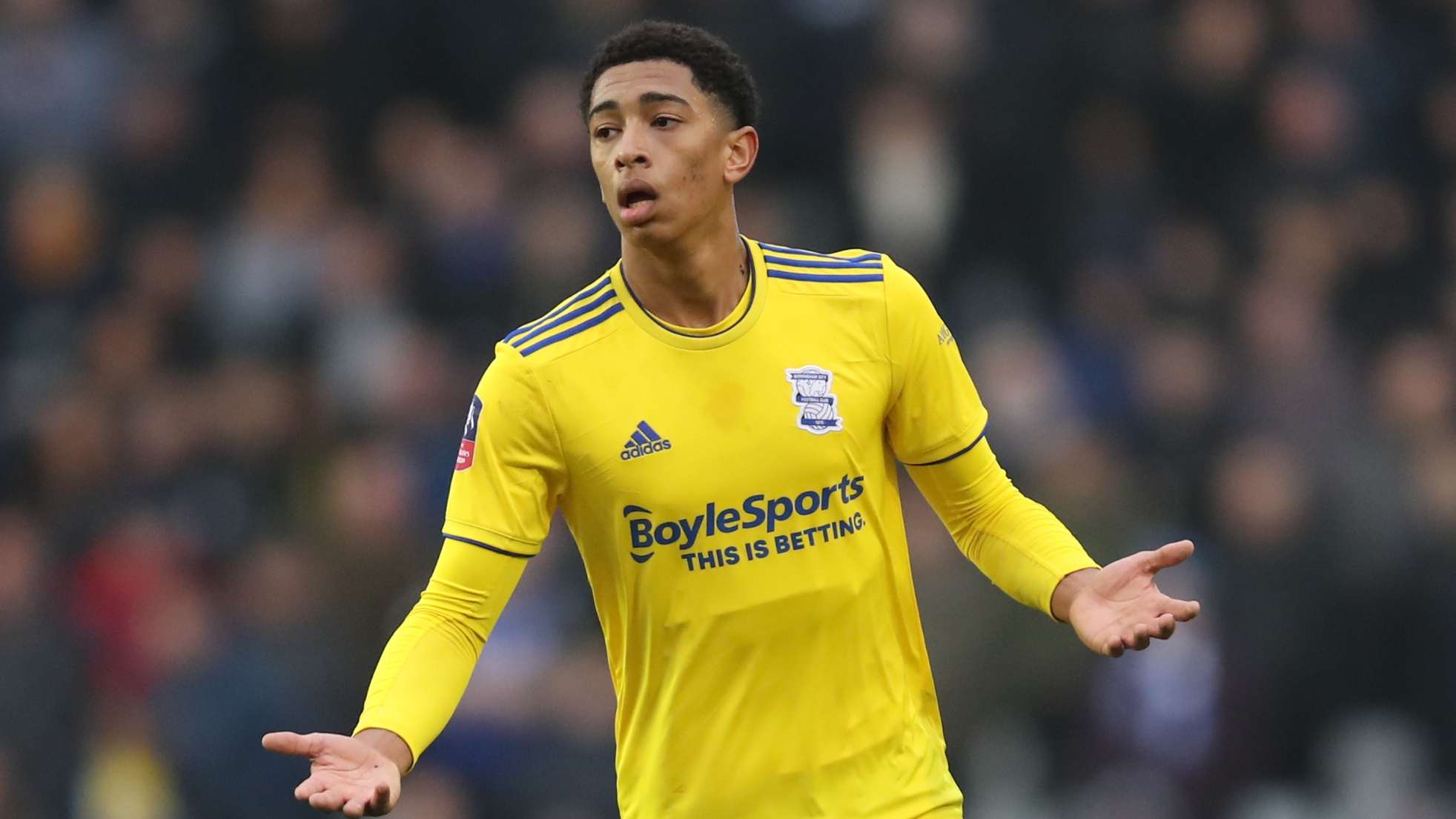 球迷們津津 球迷們津津